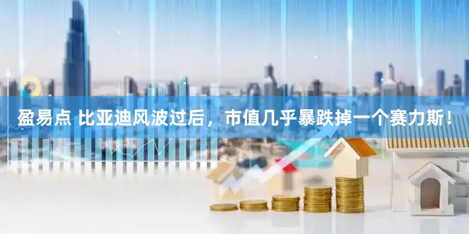 盈易点 比亚迪风波过后，市值几乎暴跌掉一个赛力斯！