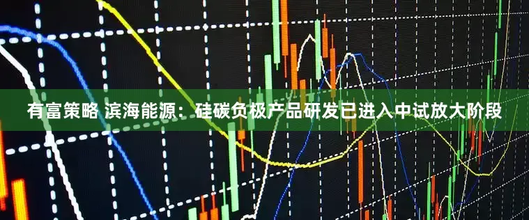 有富策略 滨海能源：硅碳负极产品研发已进入中试放大阶段