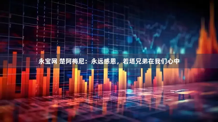 永宝网 楚阿梅尼：永远感恩，若塔兄弟在我们心中