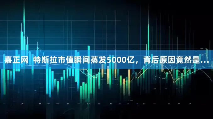嘉正网  特斯拉市值瞬间蒸发5000亿，背后原因竟然是…