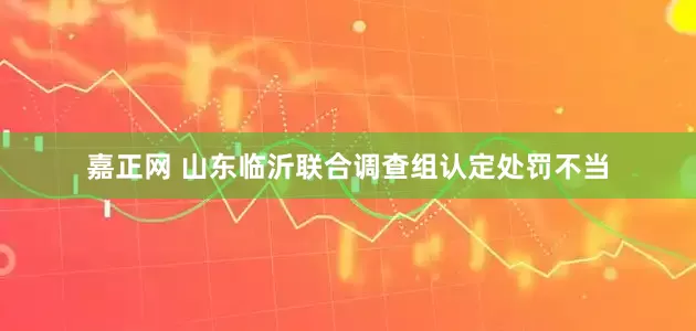 嘉正网 山东临沂联合调查组认定处罚不当