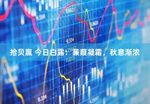 拾贝赢 今日白露：蒹葭凝霜，秋意渐浓