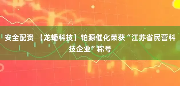 安全配资 【龙蟠科技】铂源催化荣获“江苏省民营科技企业”称号