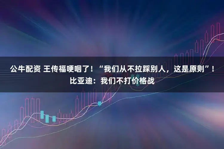 公牛配资 王传福哽咽了!“我们从不拉踩别人,这是原则”!比亚迪:我们不打价格战