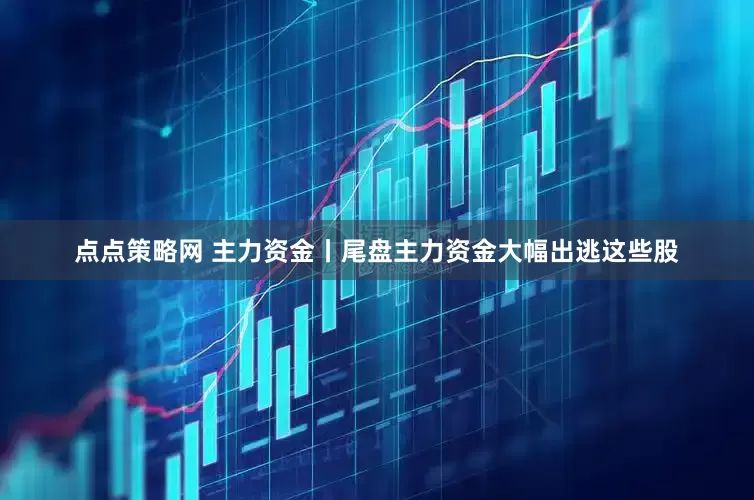 点点策略网 主力资金丨尾盘主力资金大幅出逃这些股